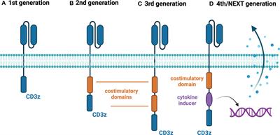 Next generations of CAR-T cells - new therapeutic opportunities in hematology?